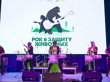 Благотворительный фестиваль «Рок в защиту животных» пройдёт в Старом Осколе 16 августа