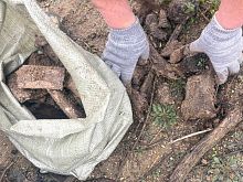 Скелет доисторического животного обнаружили на берегу старооскольского пруда