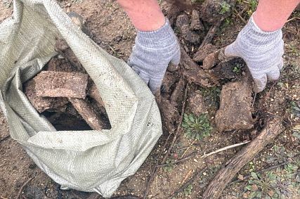 Скелет доисторического животного обнаружили на берегу старооскольского пруда