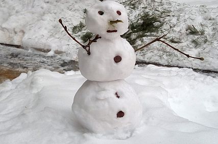 Старый Оскол ждут морозы почти до -30