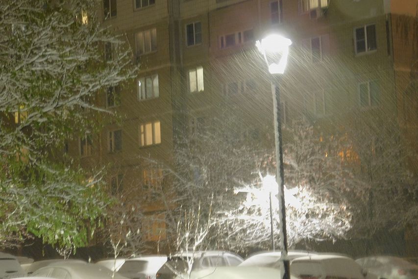 Синоптики предупреждают о снегопаде и усилении ветра на территории Белгородской области