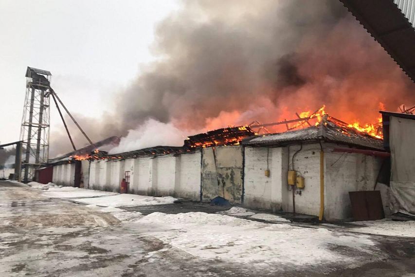 Пожар на складе семечек в Старом Осколе попал в ленты центральных СМИ