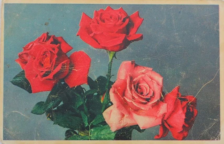 Открытка из Венгрии.﻿ Как оскольчанка хранит память о деде — фронтовике и металлурге