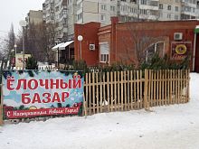 Где купить живую ёлку: в Старом Осколе утвердили места продажи