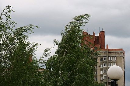 Сильный ветер ждут синоптики в Белгородской области