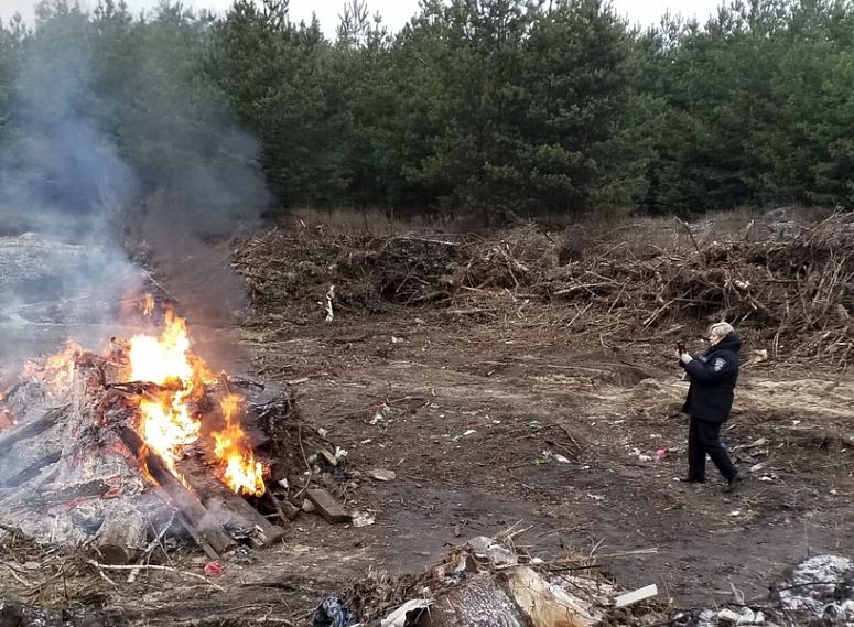 В Старом Осколе, недалеко от села Незнамово, в лесу сжигают твёрдые бытовые отходы
