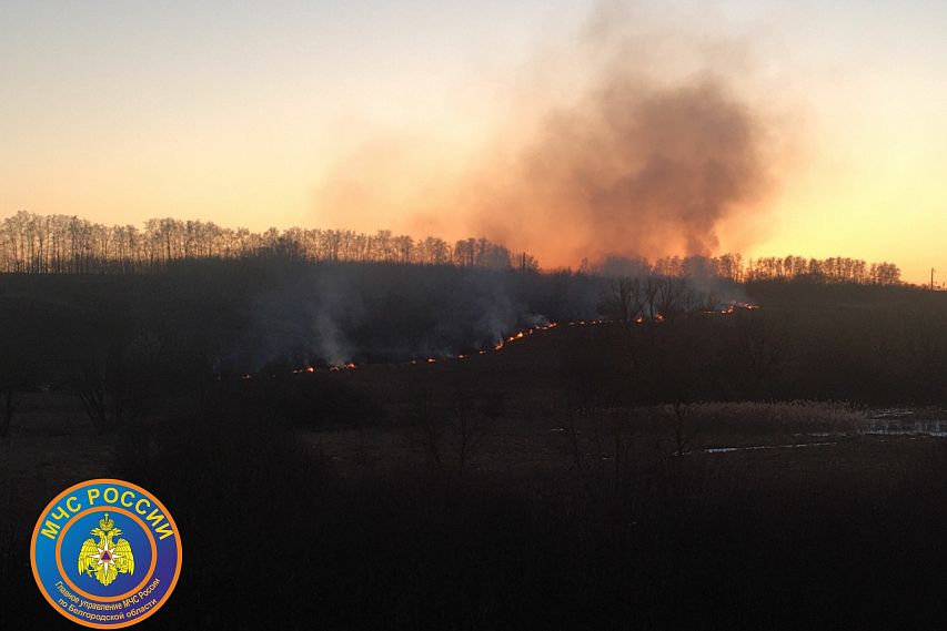 В Белгородской области начались ландшафтные пожары