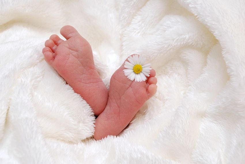 Более 2,5 тысяч подарков для новорожденных планируется передать в семьи Старого Оскола