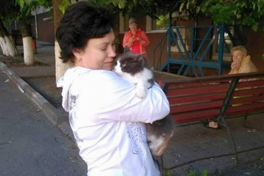 Сотрудники МЧС спасли двух милых котиков