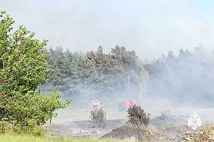 В Белгородской области особый противопожарный режим продлили до 24 августа