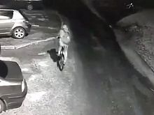 Старооскольцу назначили 480 часов работ за кражи велосипедов и культивирование наркорастений