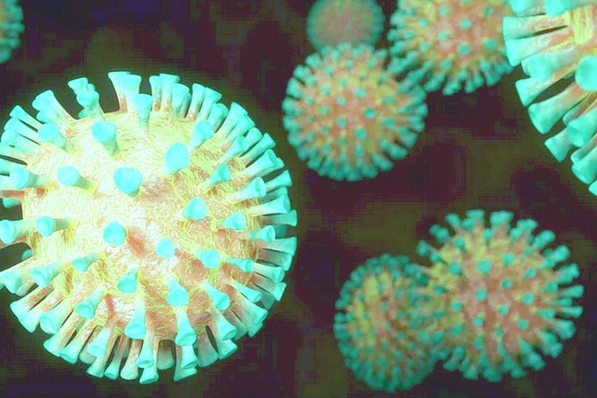 О заболеваемости коронавирусом в Старом Осколе и Белгородской области по данным на 27 мая