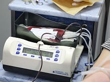 Как стать донором костного мозга