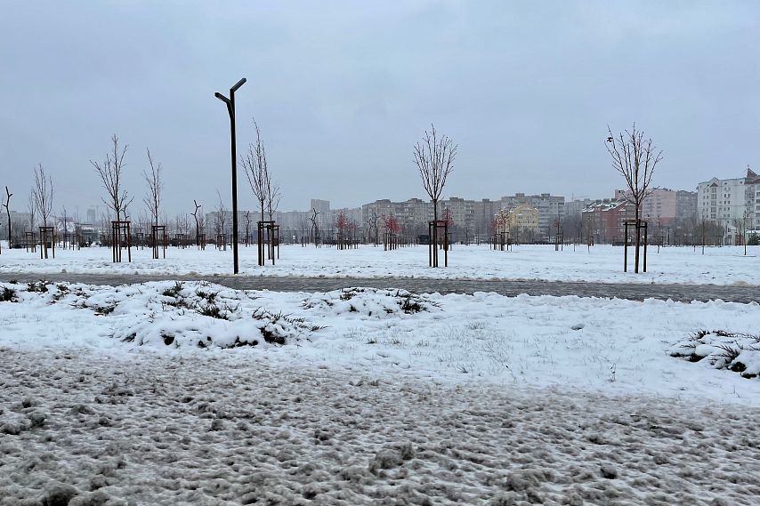 Из-за непогоды в Белгородской области объявили жёлтый уровень опасности