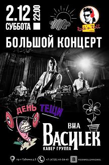 Большой концерт кавер-группы ВИА «Василёк» «День рожденья тёщи»