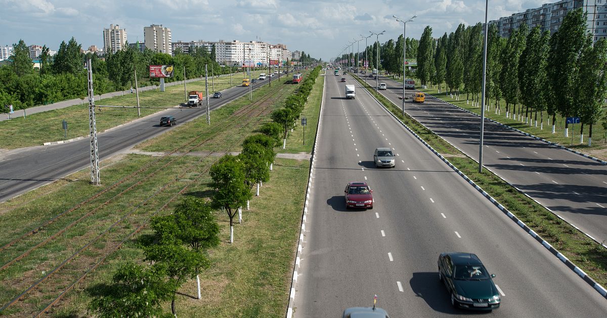 Пихвастер старый оскол фото