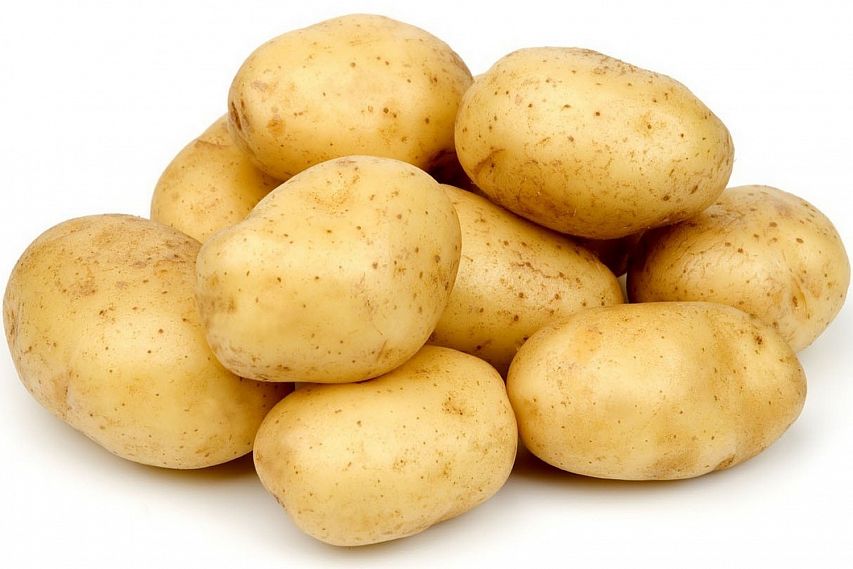 В Старооскольском округе пройдёт фестиваль картошки