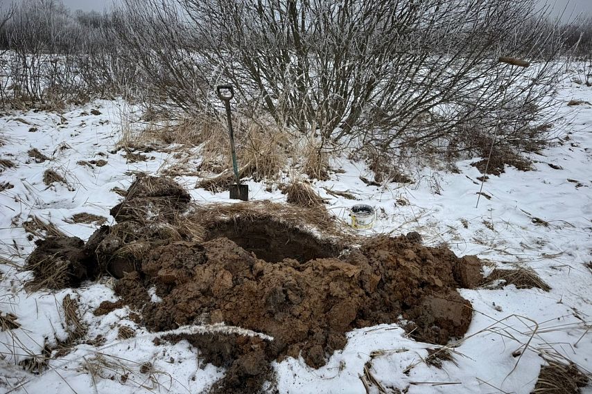 Московские поисковики нашли подо Ржевом останки бойца из старооскольского села