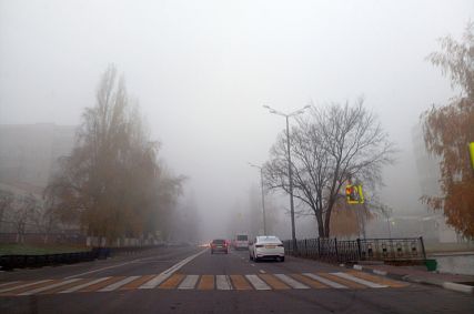 До 23 градусов тепла прогнозируют в Белгородской области 1 октября