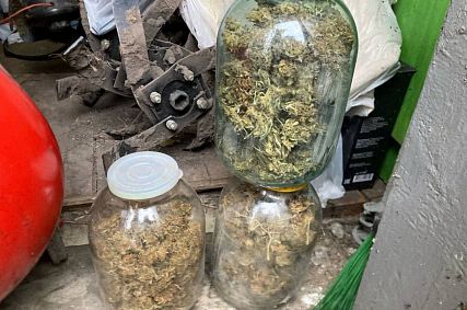 Квартира-теплица и трёхлитровые банки: как выращивали и хранили наркотики в Старом Осколе