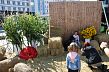 На День города в Старом Осколе объединились спорт, гастрономия и искусство