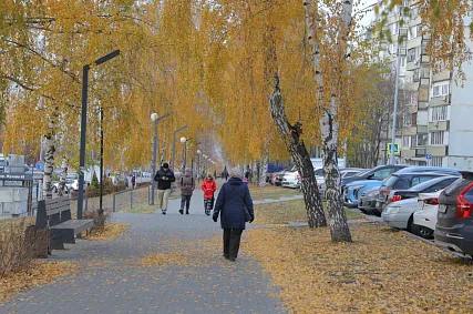 Новые законы ноября–2025: что ждёт старооскольцев и всех россиян