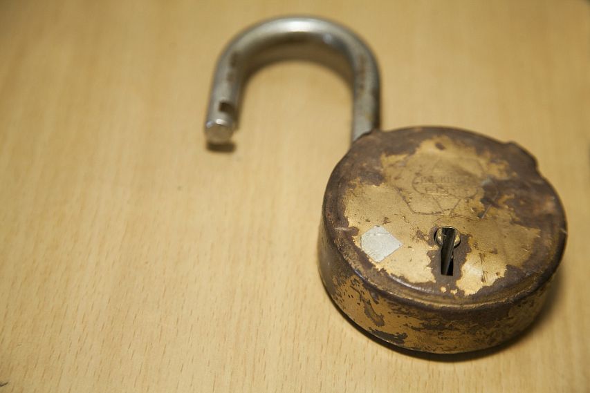 Сотрудники угрозыска задержали дачных воришек