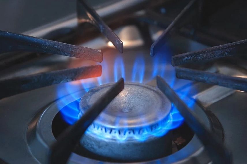 Россияне смогут бесплатно провести газ на участки