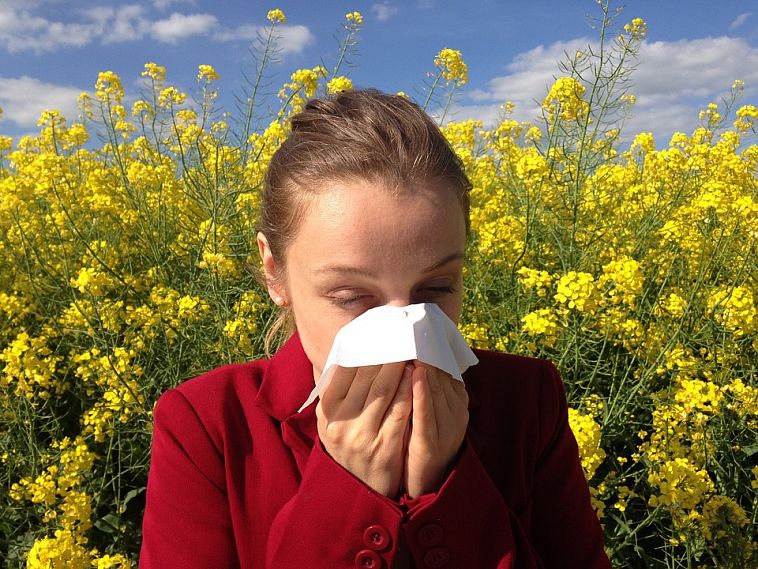 Поллиноз: сезон аллергии продолжается